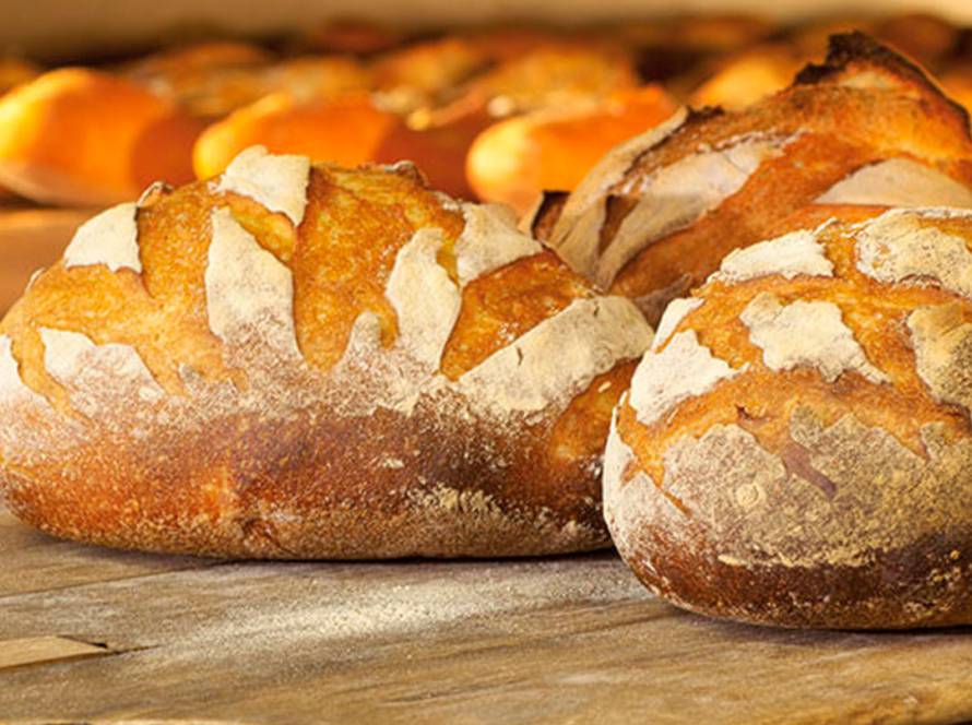 Horneado Bongard Mexico